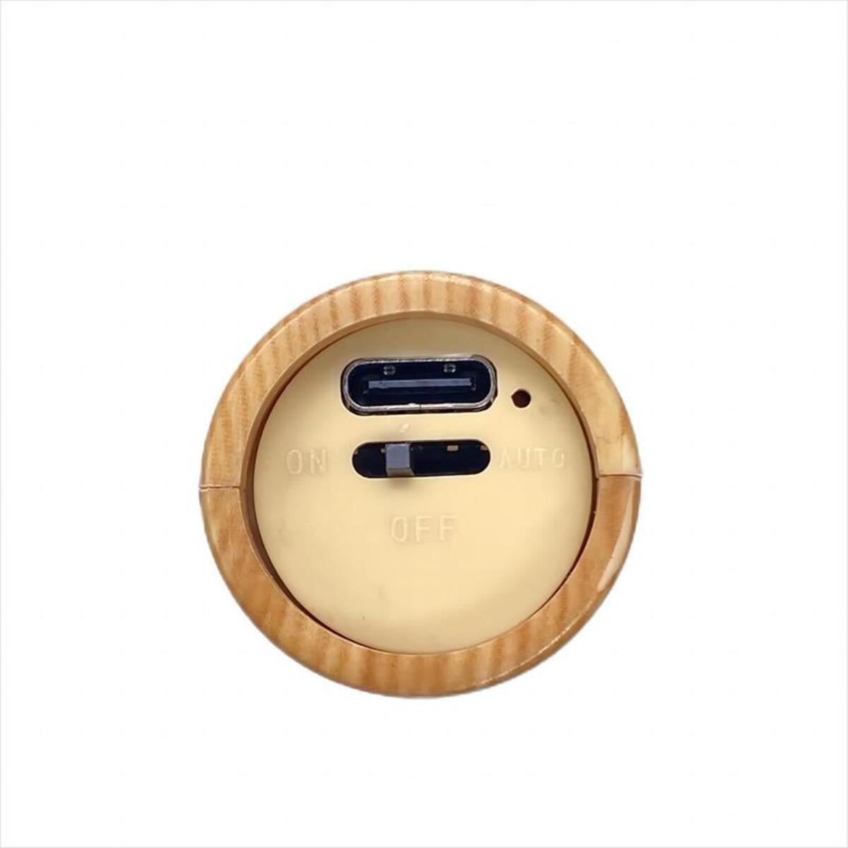 Motion Sensor Night Light, Rechargeable Body